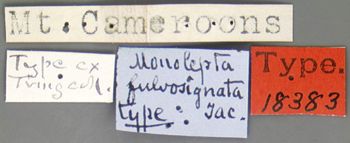 Media type: image; Entomology 18383   Aspect: labels